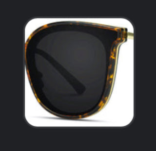 WMP- Chloe 1010 Tortoise/Black sunglasses