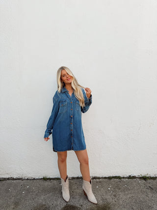 Parker Denim Dress
