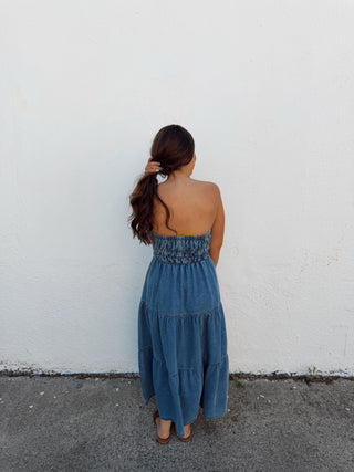 Banks Denim Dress