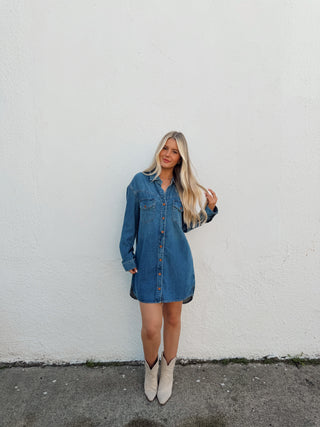 Parker Denim Dress
