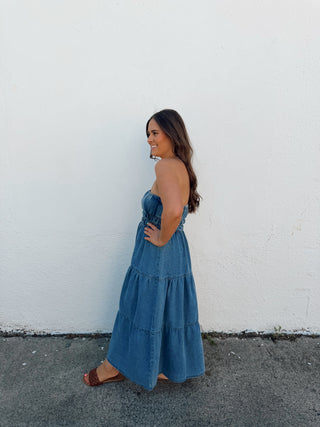 Banks Denim Dress