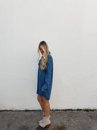 Parker Denim Dress