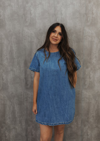 Halley Denim Dress