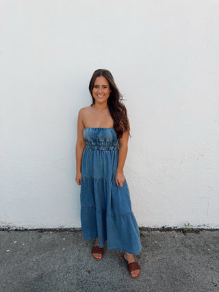 Banks Denim Dress