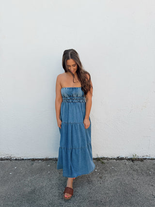 Banks Denim Dress