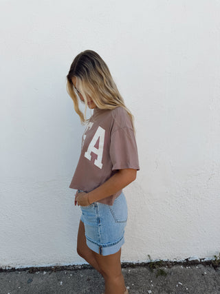 USA Block Crop Tee