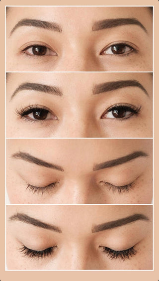 Flutter Habit Lashes - The Wink(2-pair)