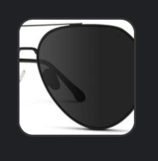 WMP- Ramsey avi 033 Black sunglasses