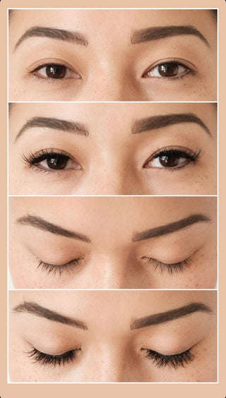 Flutter Habit Lashes - The Wink