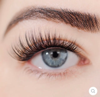 Flutter Habit Lashes - The Wink